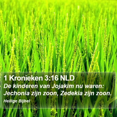 1 Kronieken 3:16 NLD Bible Verse Image