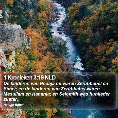 1 Kronieken 3:19 NLD Bible Verse Image