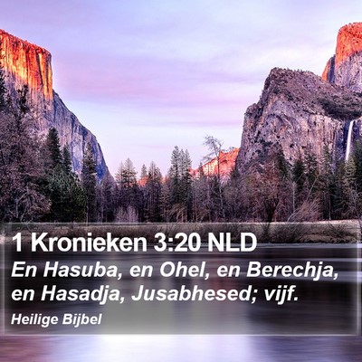 1 Kronieken 3:20 NLD Bible Verse Image
