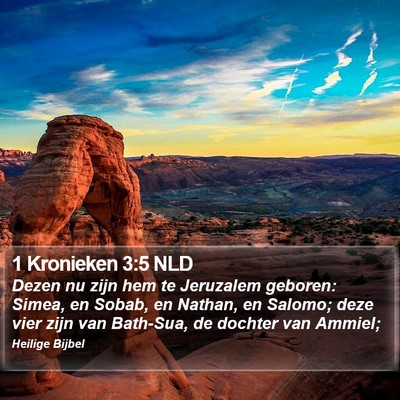 1 Kronieken 3:5 NLD Bible Verse Image