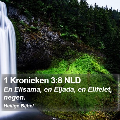 1 Kronieken 3:8 NLD Bible Verse Image