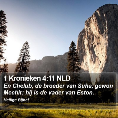 1 Kronieken 4:11 NLD Bible Verse Image