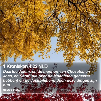 1 Kronieken 4:22 NLD Bible Verse Image