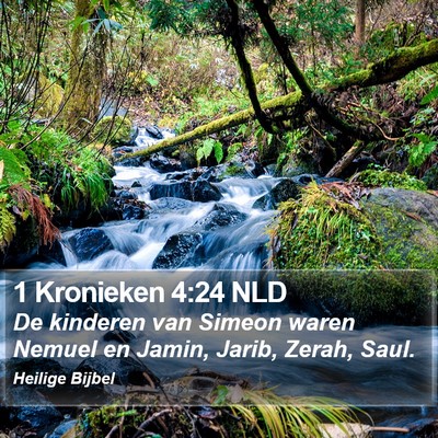 1 Kronieken 4:24 NLD Bible Verse Image