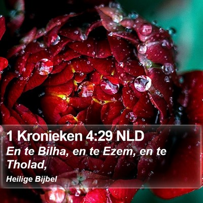 1 Kronieken 4:29 NLD Bible Verse Image