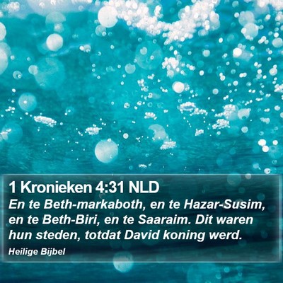 1 Kronieken 4:31 NLD Bible Verse Image