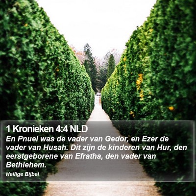 1 Kronieken 4:4 NLD Bible Verse Image
