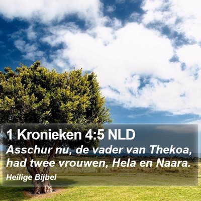 1 Kronieken 4:5 NLD Bible Verse Image
