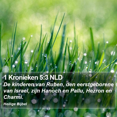 1 Kronieken 5:3 NLD Bible Verse Image