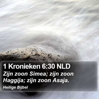 1 Kronieken 6:30 NLD Bible Verse Image