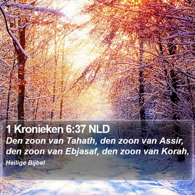 1 Kronieken 6:37 NLD Bible Verse Image