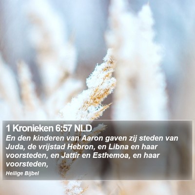 1 Kronieken 6:57 NLD Bible Verse Image