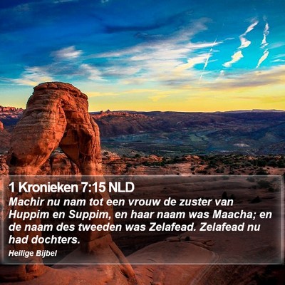 1 Kronieken 7:15 NLD Bible Verse Image