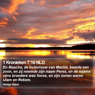 1 Kronieken 7:16 NLD Bible Verse Image
