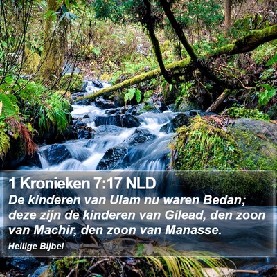 1 Kronieken 7:17 NLD Bible Verse Image
