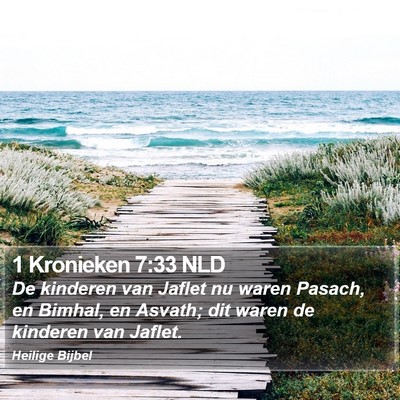 1 Kronieken 7:33 NLD Bible Verse Image