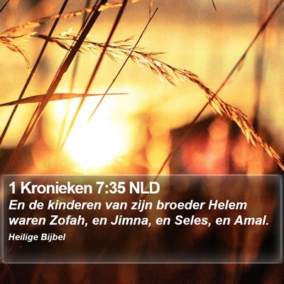 1 Kronieken 7:35 NLD Bible Verse Image