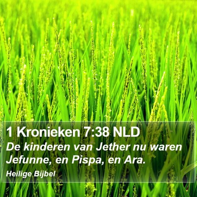 1 Kronieken 7:38 NLD Bible Verse Image