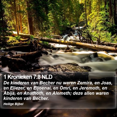 1 Kronieken 7:8 NLD Bible Verse Image