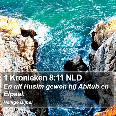 1 Kronieken 8:11 NLD Bible Verse Image