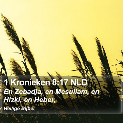 1 Kronieken 8:17 NLD Bible Verse Image