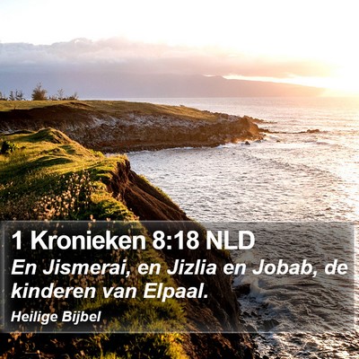 1 Kronieken 8:18 NLD Bible Verse Image