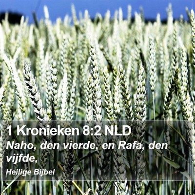 1 Kronieken 8:2 NLD Bible Verse Image