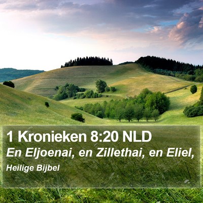 1 Kronieken 8:20 NLD Bible Verse Image