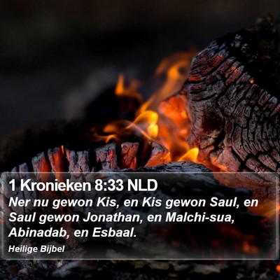 1 Kronieken 8:33 NLD Bible Verse Image