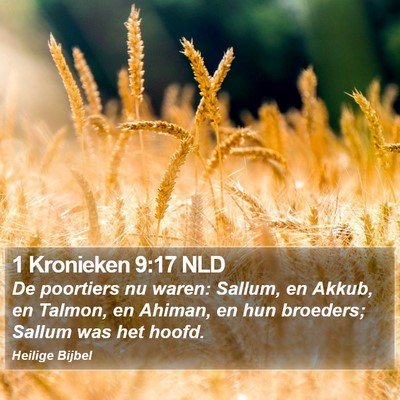 1 Kronieken 9:17 NLD Bible Verse Image