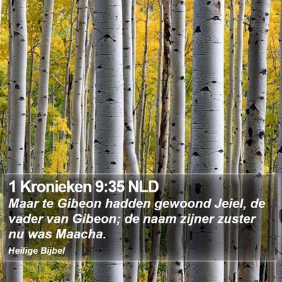 1 Kronieken 9:35 NLD Bible Verse Image