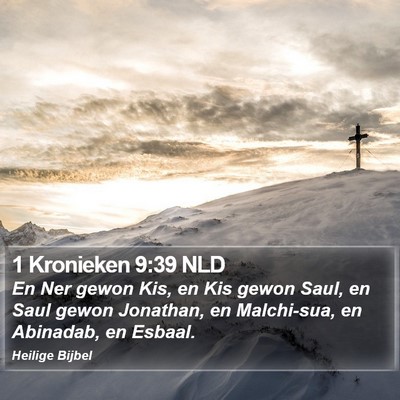 1 Kronieken 9:39 NLD Bible Verse Image