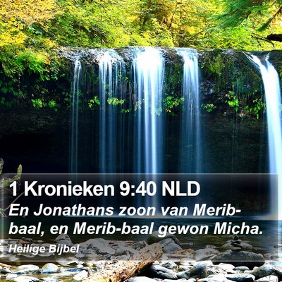 1 Kronieken 9:40 NLD Bible Verse Image