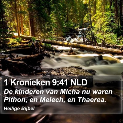 1 Kronieken 9:41 NLD Bible Verse Image
