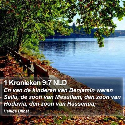 1 Kronieken 9:7 NLD Bible Verse Image