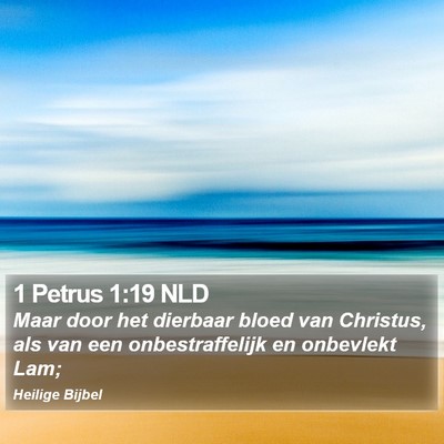 1 Petrus 1:19 NLD Bible Verse Image