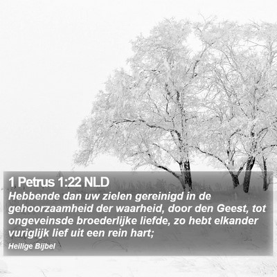 1 Petrus 1:22 NLD Bible Verse Image