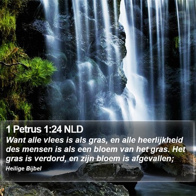 1 Petrus 1:24 NLD Bible Verse Image