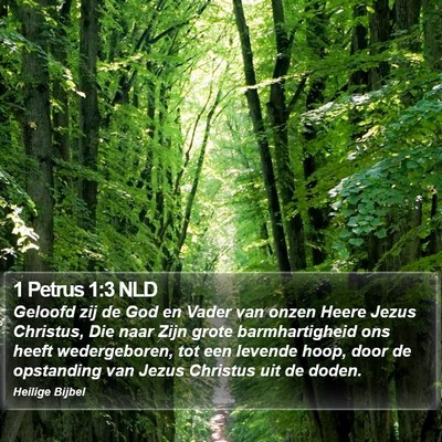1 Petrus 1:3 NLD Bible Verse Image