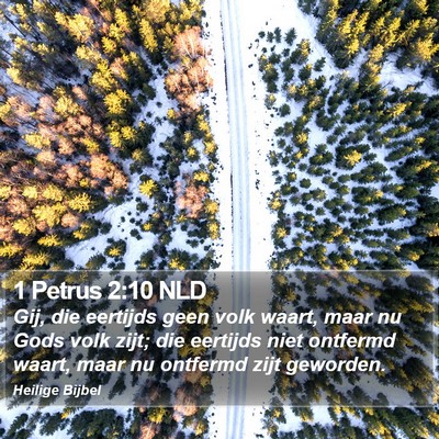 1 Petrus 2:10 NLD Bible Verse Image