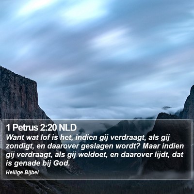 1 Petrus 2:20 NLD Bible Verse Image
