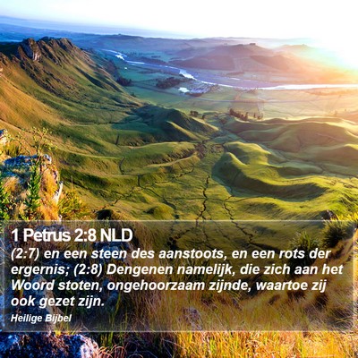 1 Petrus 2:8 NLD Bible Verse Image