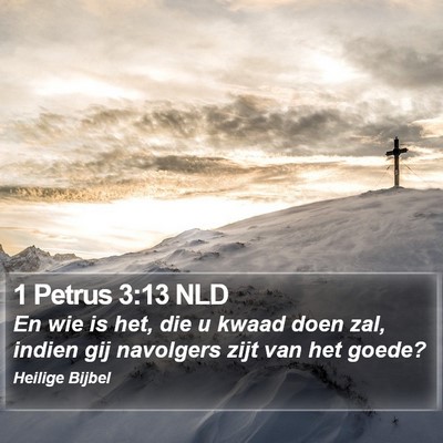 1 Petrus 3:13 NLD Bible Verse Image
