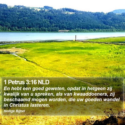 1 Petrus 3:16 NLD Bible Verse Image