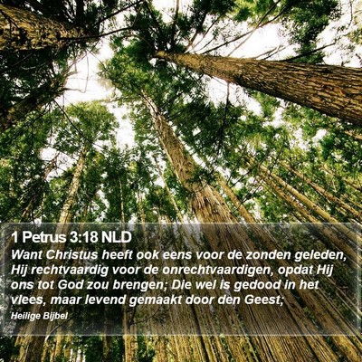 1 Petrus 3:18 NLD Bible Verse Image