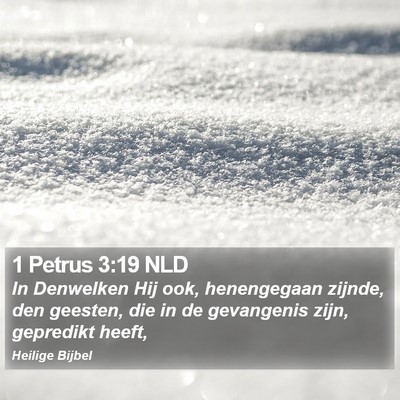 1 Petrus 3:19 NLD Bible Verse Image