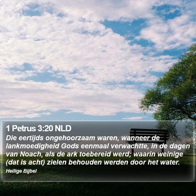 1 Petrus 3:20 NLD Bible Verse Image
