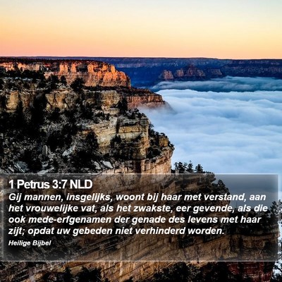 1 Petrus 3:7 NLD Bible Verse Image