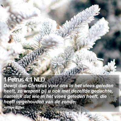 1 Petrus 4:1 NLD Bible Verse Image