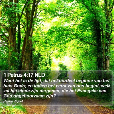 1 Petrus 4:17 NLD Bible Verse Image